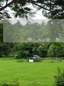 什么是按揭貸款