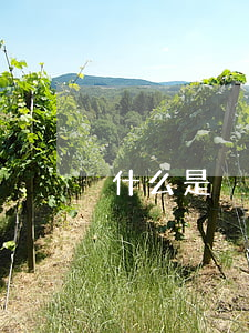 什么是掛賬停息 停息掛賬的好處和危害