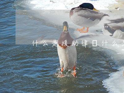 什么是援助律師(什么是法律援助律師)
