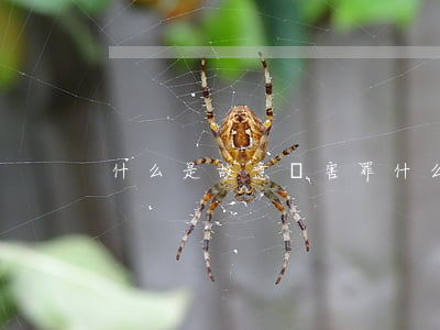 什么是故意傷害罪(什么是故意傷害罪量刑)