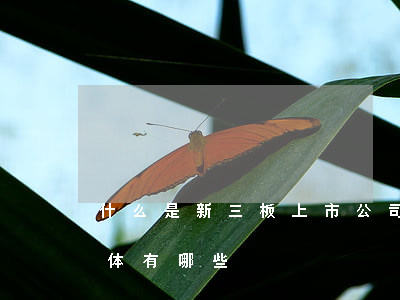什么是新三板上市公司（新三板的上市条件具体有哪些）