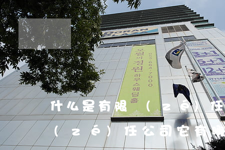 什么是有限責(zé)任公司(什么是有限責(zé)任公司?它有哪些法律特征?)