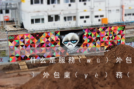 什么是服務(wù)外包(什么是服務(wù)外包業(yè)務(wù))