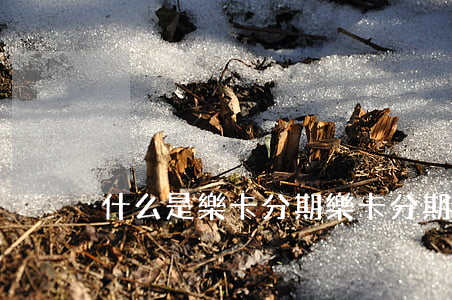 什么是樂卡分期(樂卡分期是什么意思)