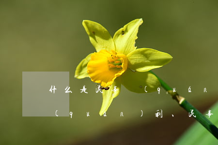 什么是民事權(quán)利(什么是民事權(quán)利、民事義務(wù)與民事責(zé)任?)