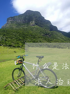 什么是法人治理結(jié)構(gòu)（法人治理結(jié)構(gòu)的組成）