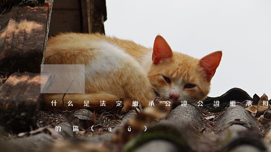 什么是法定繼承公證(公證繼承和非公證繼承的區(qū)別)