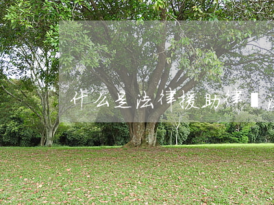 什么是法律援助律師(法律援助是律師嗎)
