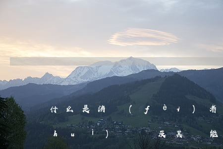 什么是消費(fèi)者協(xié)會(huì)組織及其職能