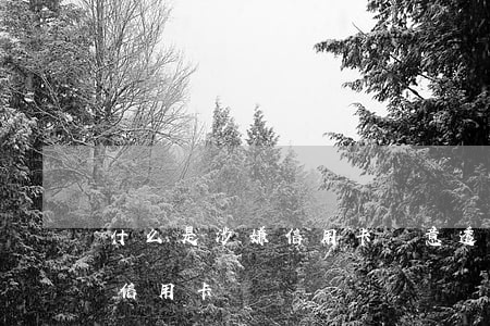 什么是涉嫌信用卡惡意透支(什么為惡意透支信用卡)