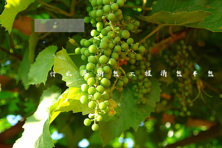 什么是清包工程（清包半包全包的區(qū)別）