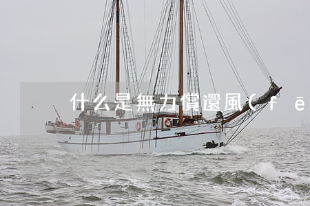 什么是無力償還風(fēng)險