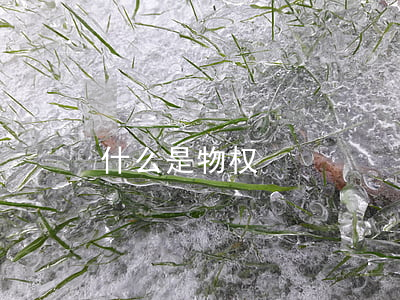 什么是物权