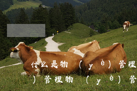 什么是物業(yè)管理(什么是物業(yè)管理?物業(yè)管理有哪些基本特征?)