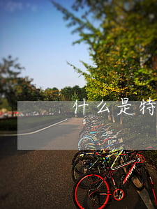 什么是特許經營合同糾紛
