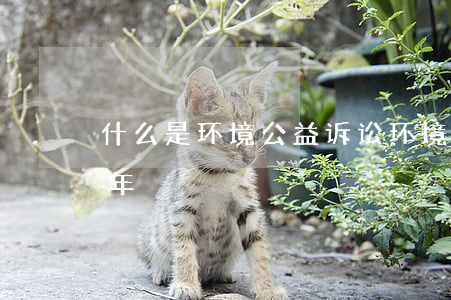 什么是环境公益诉讼（环境污染诉讼时效是几年）
