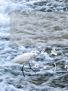 什么是環(huán)境公益訴訟（環(huán)境污染訴訟時(shí)效是幾年）