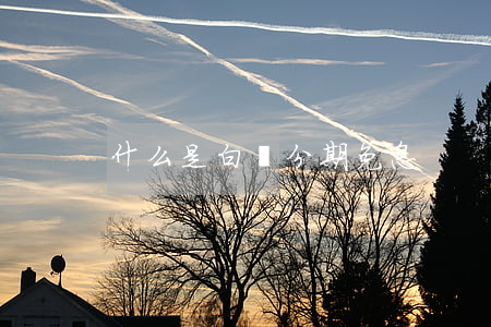 什么是白條分期免息