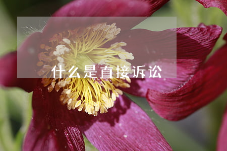 什么是直接诉讼