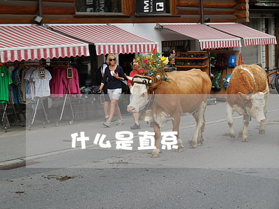 什么是直系親屬