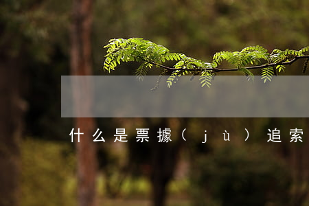 什么是票據(jù)追索權(quán)