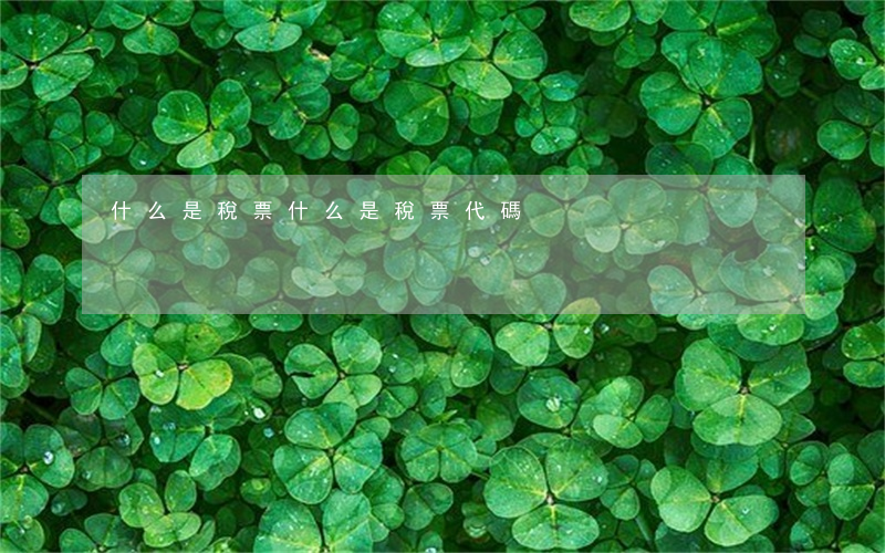 什么是稅票(什么是稅票代碼)