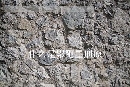 什么是累犯（量刑原則）