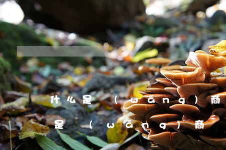 什么是網(wǎng)商貸 好不好用-什么是網(wǎng)商貸 好不好用呢