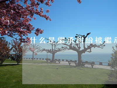 什么是繼承糾紛(被繼承人糾紛)