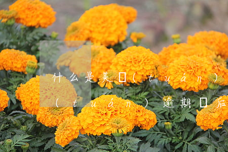 什么是美團(tuán)逾期還款賬戶 美團(tuán)逾期過后還清逾期的必需要一次性還清嗎