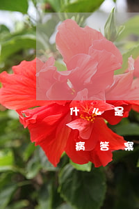 什么是職業(yè)病(什么是職業(yè)病答案)