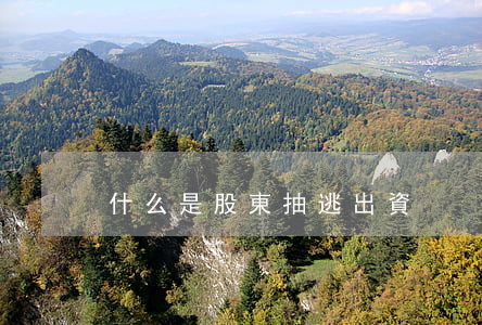 什么是股東抽逃出資