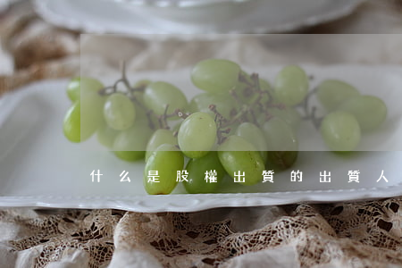 什么是股權出質的出質人和質權人
