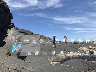 什么是股票型基金(什么是股票型基金,什么是混合型基金什么是指數(shù)基金)
