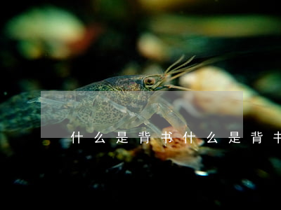 什么是背书(什么是背书,有哪些种类)