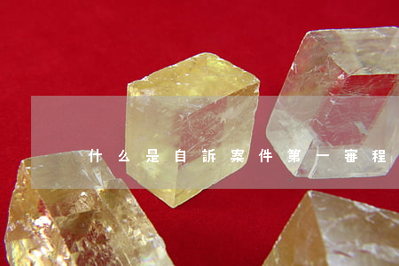 什么是自訴案件第一審程序