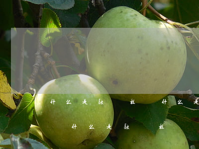 什么是融資租賃(什么是經(jīng)營租賃,什么是融資租賃)