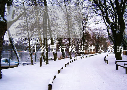 什么是行政法律关系的内容