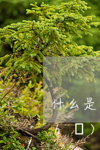 什么是行政處罰(什么是行政處罰決定書(shū))