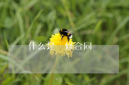 什么是裝修合同糾紛