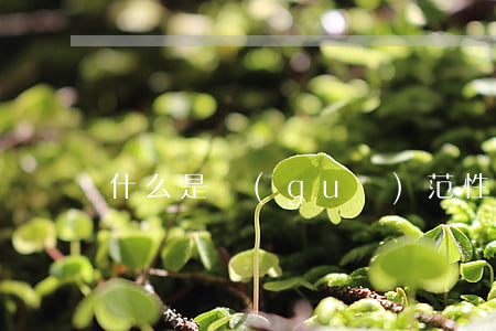 什么是規(guī)范性文件？