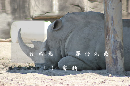 什么是誹謗罪(什么是誹謗罪刑法如何規(guī)定的)