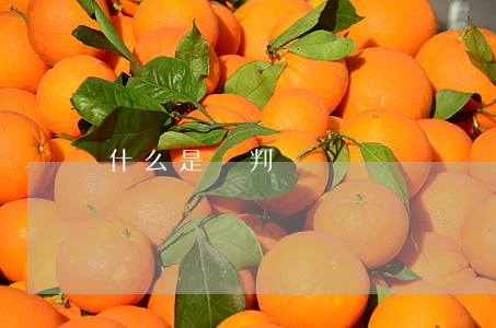 什么是談判