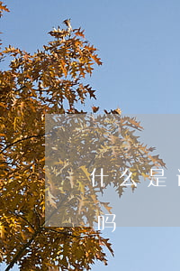 什么是诉前财产保全?财产保全需要提供担保吗