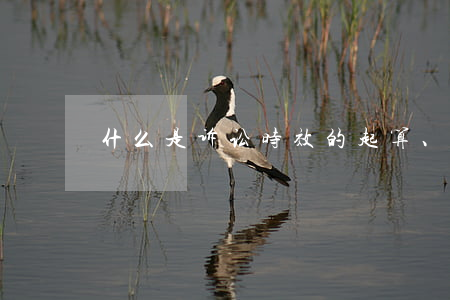 什么是诉讼时效的起算、终止及中断