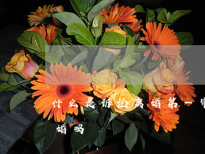 什么是诉讼离婚第一审(离婚诉讼一审会判离婚吗)