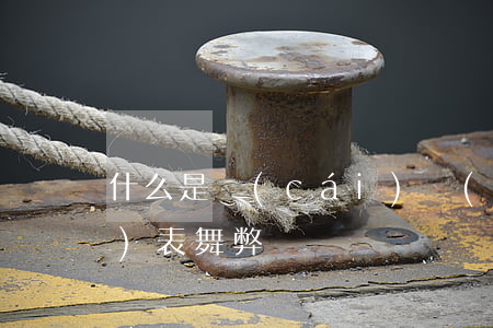 什么是財(cái)務(wù)報(bào)表舞弊