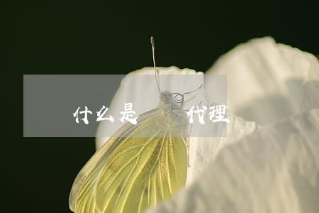 什么是貨運代理