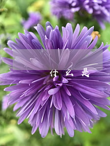 什么是貸款逾期不良比(逾期貸款 不良貸款)