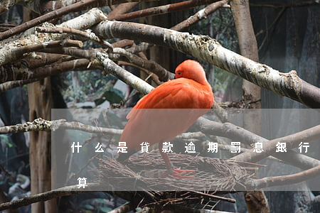 什么是貸款逾期罰息(銀行貸款逾期罰息怎么算)